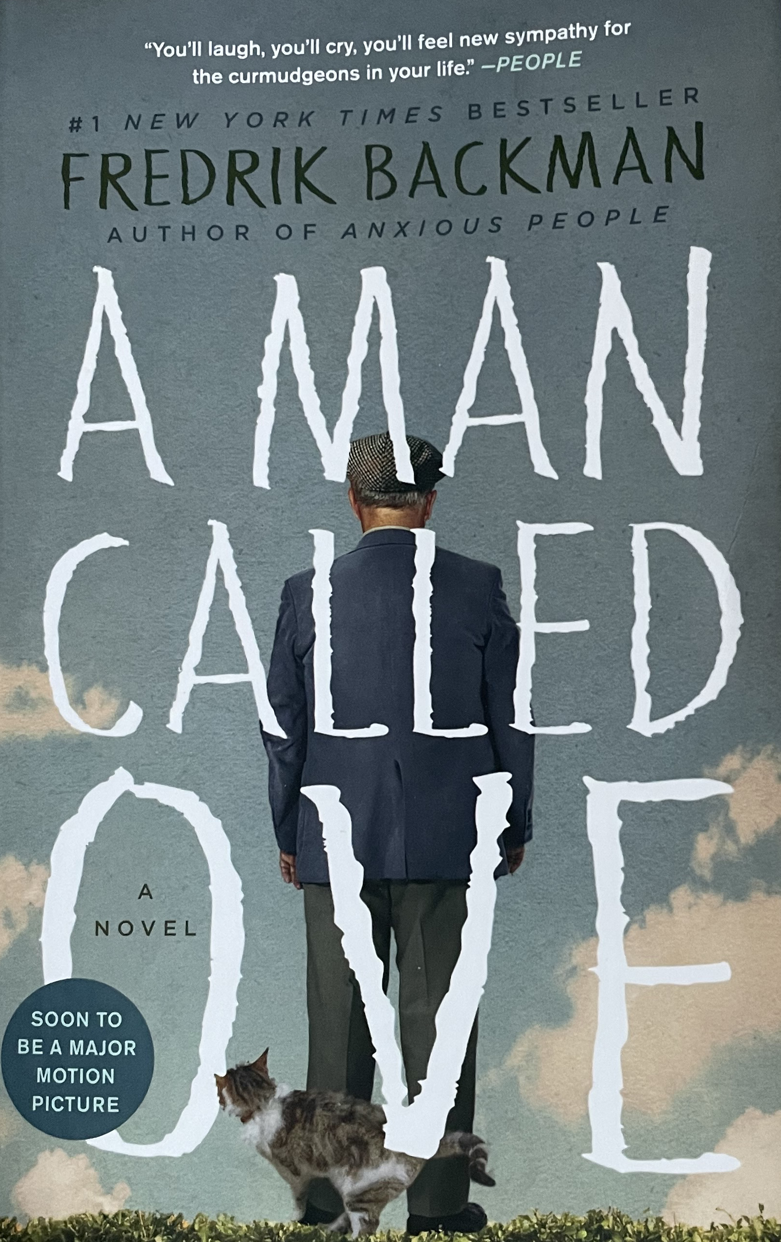 A man called Ove book